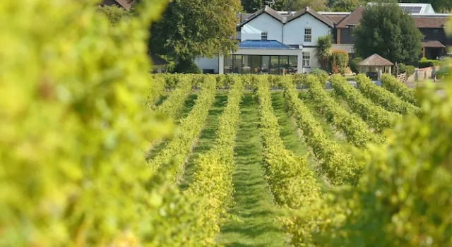 Denbies Farmhouse B&B, Забронировать Отель «постель и завтрак» Доркинг Суррей Хиллс