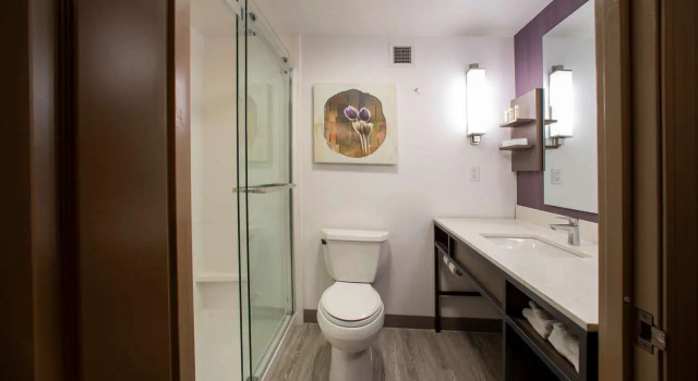 Номер Deluxe Hilton Garden Inn Rapid City