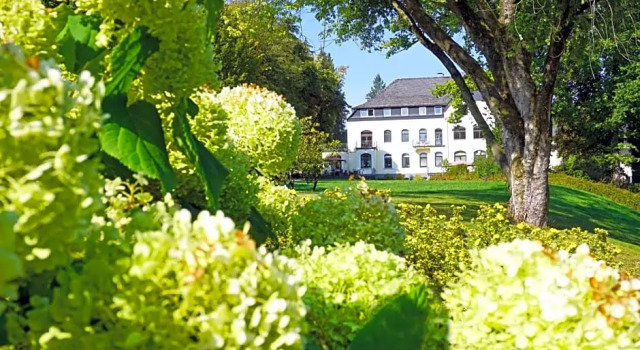 Номер Standard Dorint Parkhotel Siegen