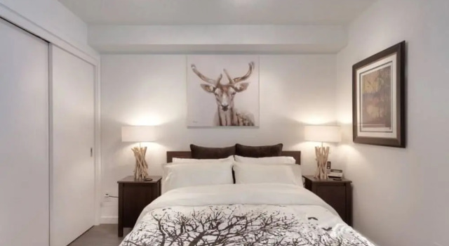 Люкс Cedar Suite at the Union Apartment