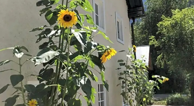 Fenix Hall Boutique Hotel Hallstatt, Book Hotel Hallstatt 