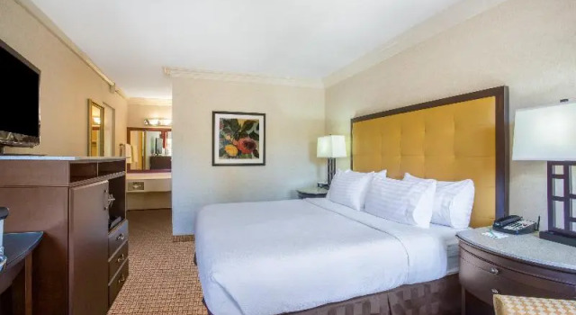 Номер Standard Holiday Inn Laguna Beach