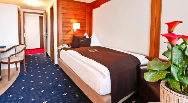 Одноместный номер Standard с видом на озеро Seehotel Pilatus