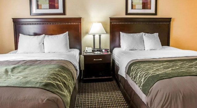 Четырёхместный номер Standard Econo Lodge Inn & Suites Monroe