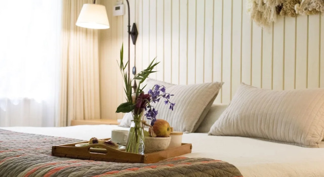 Двухместный номер Standard с видом на реку Hotel & Termas Huife