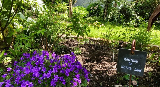 Номер Standard Le Grenier du Jardin