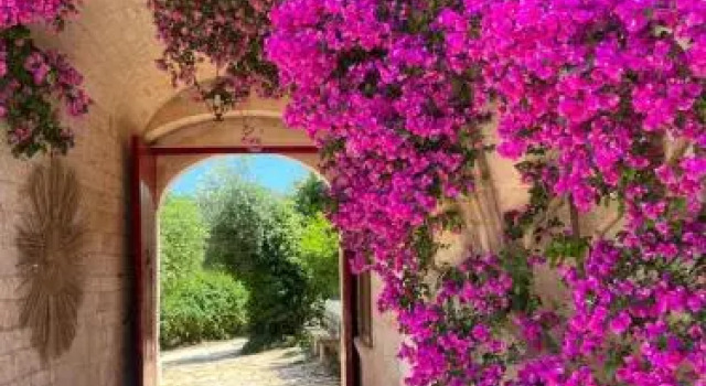 Masseria Ostuni