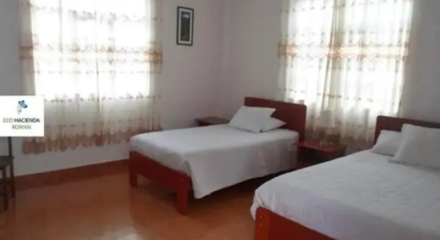 Номер Standard Eco Hacienda Roman