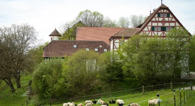 Номер Standard с красивым видом из окна Hotel & Tagungszentrum Schloss Hohenfels