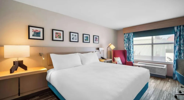 Номер Standard Hilton Garden Inn North Conway