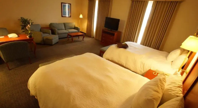 Двухместный люкс Hampton Inn Tampico Airport