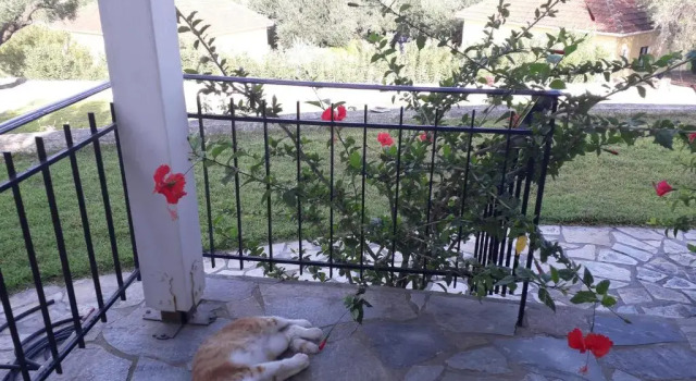 Коттедж Thermanti Villas