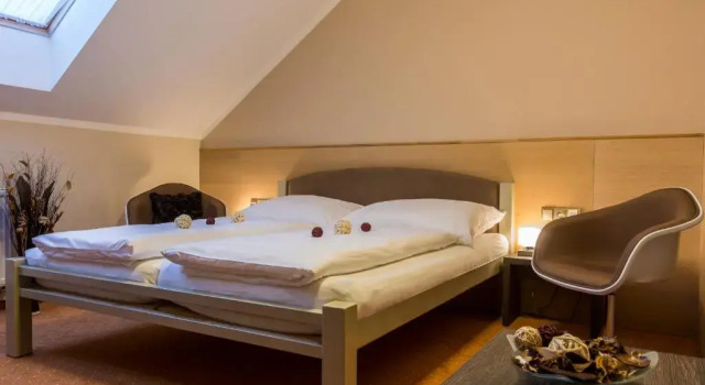 Двухместный номер Standard Hotel Lužnice