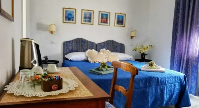 B&B Myosotis