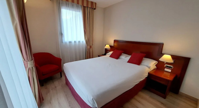 Одноместный номер Standard Hotel Spa Termes Carlemany