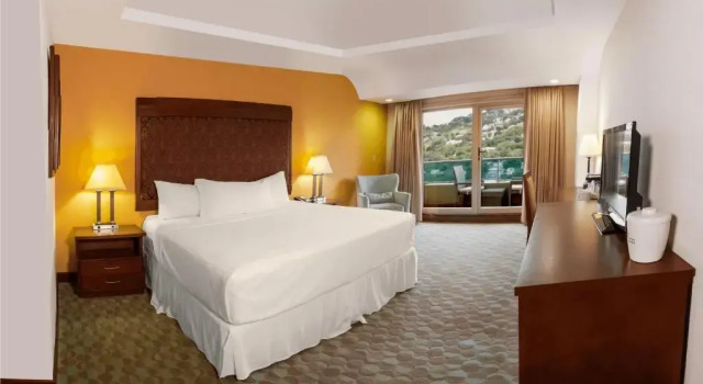 Двухместный номер Standard Hotel Plaza Juan Carlos
