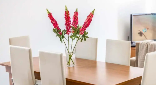 Villa White Moonflower