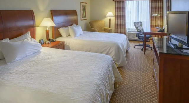 Четырёхместный номер Standard Hilton Garden Inn Joplin