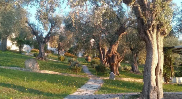 Коттедж с 2 комнатами Saint Andrews Bay