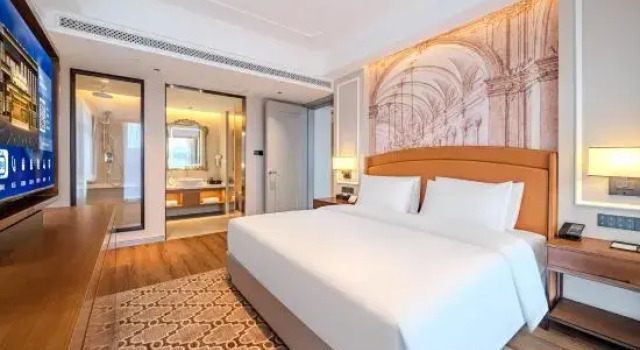 Люкс Business Vienna International Hotel (Changchun Jilin Avenue Dongsheng Street Subway Station Branch)