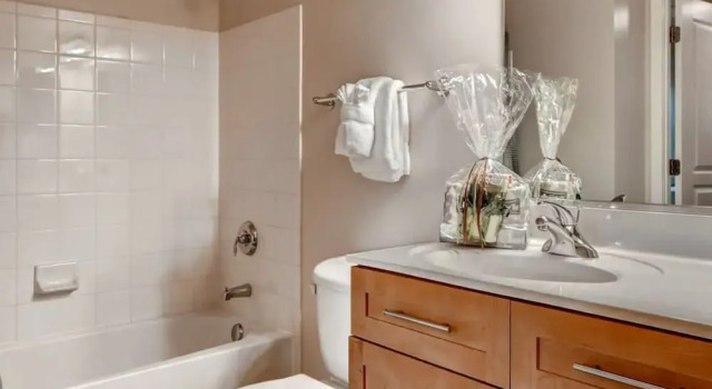 Апартаменты Luxury c 1 комнатой Bluebird Suites in Crystal City