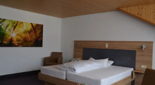 Двухместный номер Standard Hotel Hirt