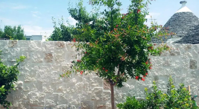 Коттедж c 1 комнатой Il Trullo Del Viaggiatore