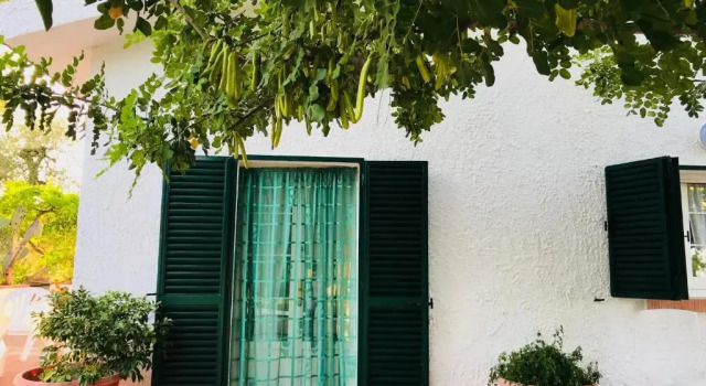 Villa Il Carrubo - Basilicata, Boek Villa Villa's in Pisticci, Villa