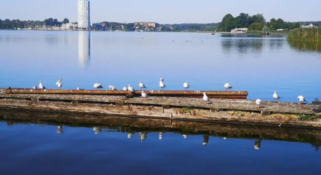 Коттедж Ostsee Hausboot Schleswig Ostseeblick 1
