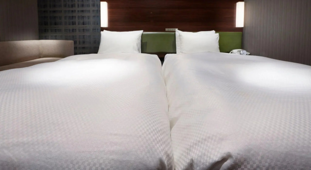 Двухместный номер Economy Sotetsu Grand Fresa Tokyo-Bay Ariake