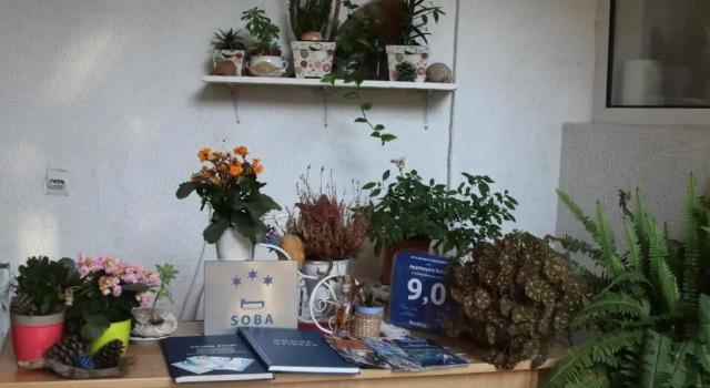 Apartments Becic
