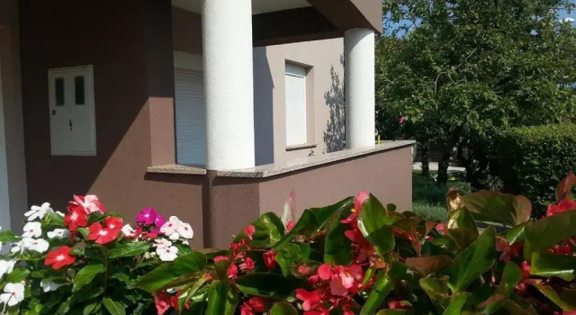 Апартаменты Comfort Цокольный этаж c 1 комнатой Apartments Ema