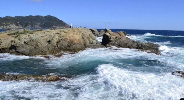 ChambreStudio bord de mer