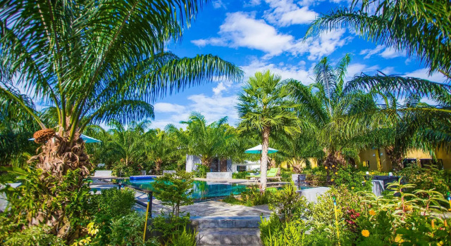 Четырёхместный номер Standard Palm Pran Resort