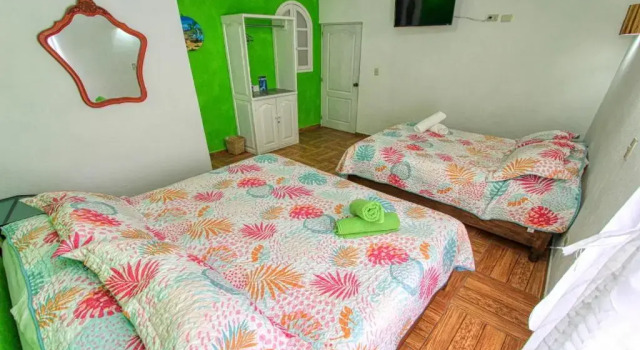 Четырёхместный номер Standard Hotel Spa Maggic Home Panorámica