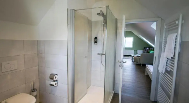 Номер Superior Hotel Schneider
