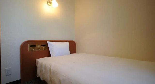 Одноместный номер Standard Suizenji Comfort Hotel