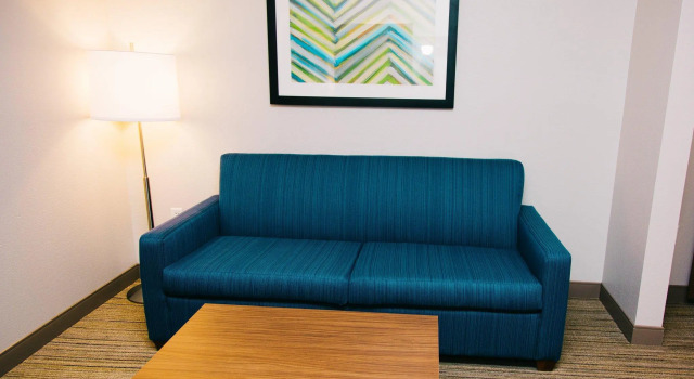 Двухместный люкс Holiday Inn Express Hotel & Suites Tampa-USF-Busch Gardens by IHG