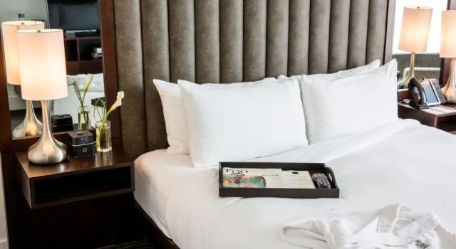 Четырёхместный номер Standard Graduate by Hilton Dallas