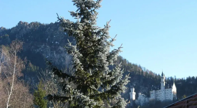 Четырёхместный номер Standard Alpenhotel Allgäu