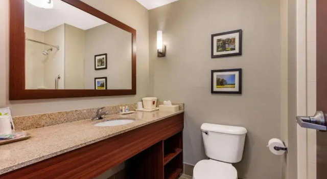Люкс Comfort Suites Tuscaloosa near University