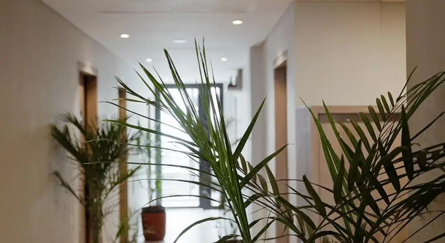 W Home Benhil, Book Hotel Jakarta Jakarta Province, near fX Sudirman
