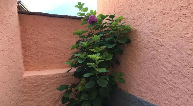 Коттедж Casa Carlazzo
