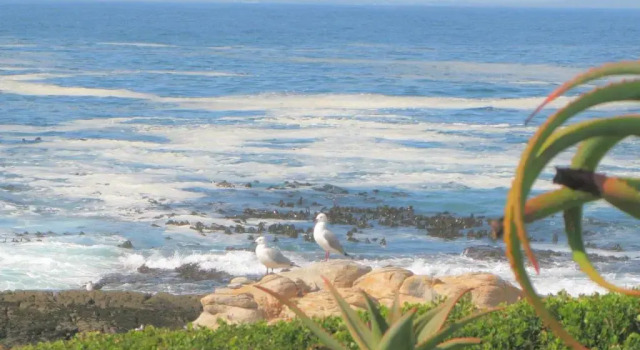 Вилла Hermanus Whale View