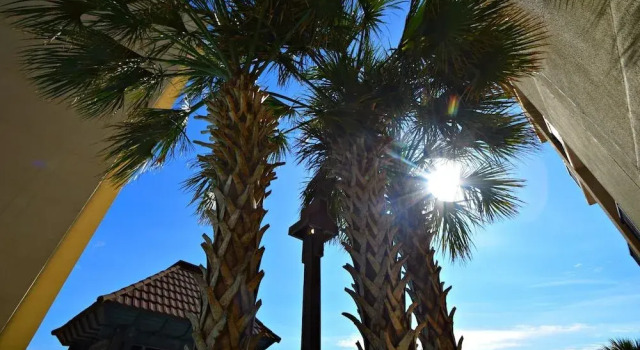 Romar House A903 By Redawning, Boek Hotel Orange Beach 