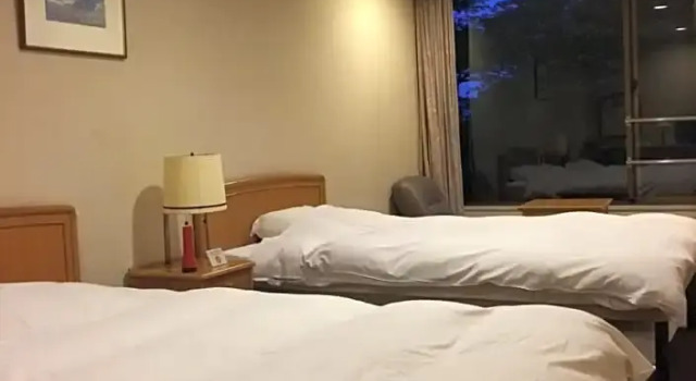 Двухместный номер Standard Nagaragawa Spa Hotel Park