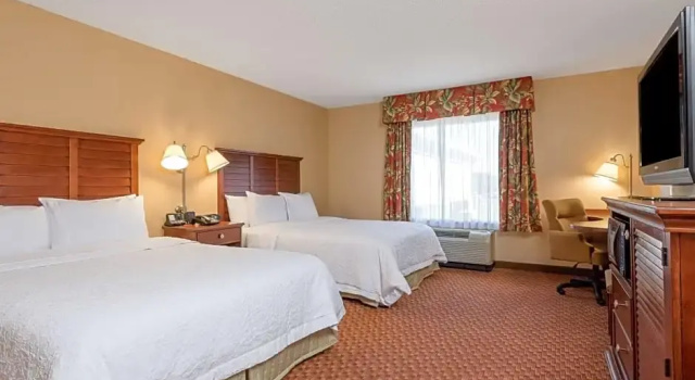 Четырёхместный люкс Hampton Inn & Suites Florence-North-I-95