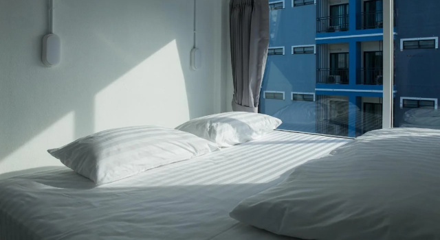 Young Money Hostel