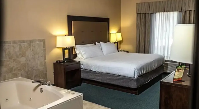 Номер Deluxe Holiday Inn Express & Suites Detroit - Novi by IHG