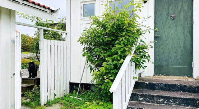 Коттедж 4 Star Holiday Home in Ellos